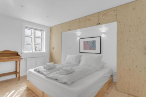 Cozy Downtown Apartment